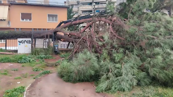 dentro-sxoleio-ioannina