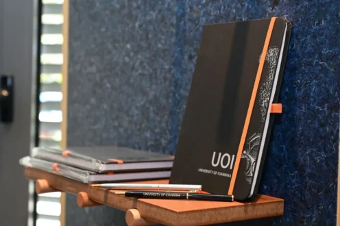 panepistimio-ioannina-anamnistika