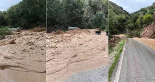 sagiada-plimires-10-11