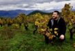 Thimiopoulos-Vineyard3-GLINAVOS