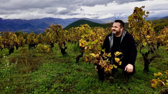 Thimiopoulos-Vineyard3-GLINAVOS