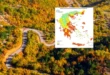 dasi-dasikes-pyrkagies-xartis-2-12-25-1.jpg