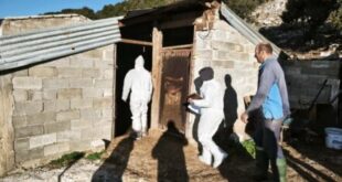 elegxoi-ktinotrofoi-ioannina