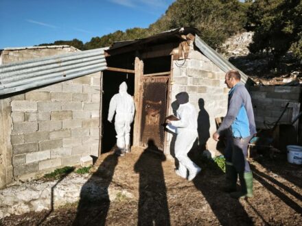 elegxoi-ktinotrofoi-ioannina