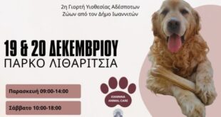 giorti-iothesias-ioannina