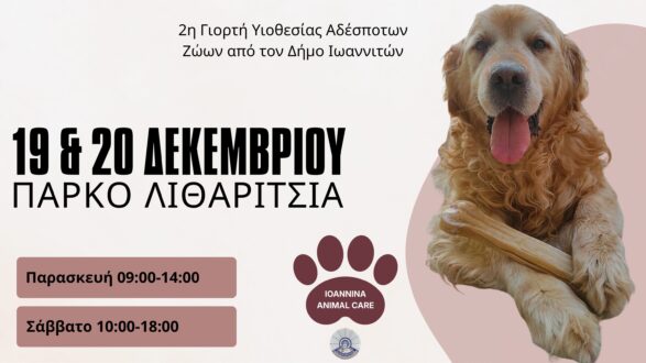 giorti-iothesias-ioannina