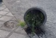 ioannina-vandalismoi-18-12
