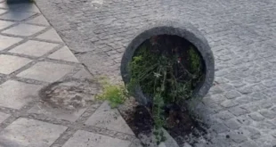 ioannina-vandalismoi-18-12