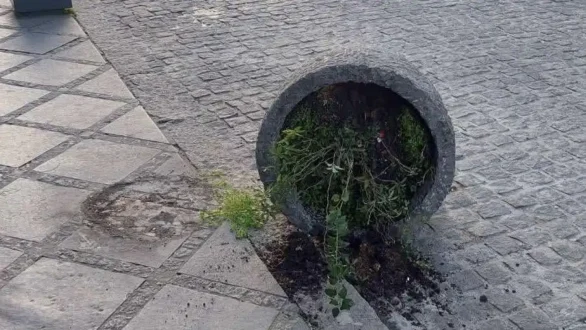 ioannina-vandalismoi-18-12