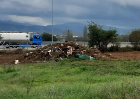 kipoi-panepistimio-ioannina