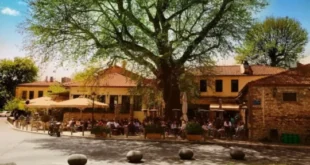 skala-garivaldi-plateia