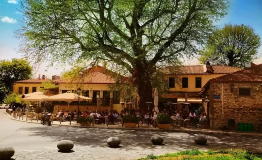 skala-garivaldi-plateia