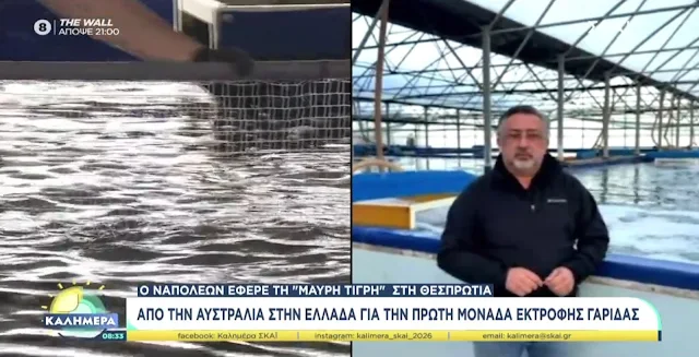 garides-thesprotias-skai