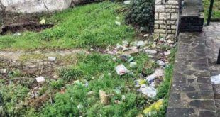 plateia-kardamitsia-skoupidia