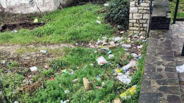 plateia-kardamitsia-skoupidia