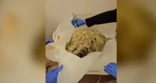 arxaiokaphlia-GNOSTOS-EPIXEIRIMATIASjpg