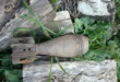 ovida-pogoni