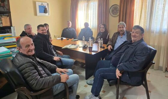 siskepsi-kinokomeio-konitsa-pogoni-zagori