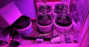 narkotika-ioannina-25-4