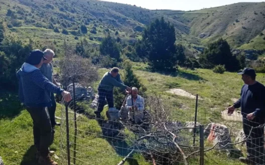 vradeto-tripa-monopati