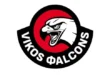 vikos_falkons