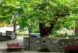 agia-paraskeyh-kerasovo-konitsa