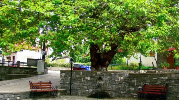 agia-paraskeyh-kerasovo-konitsa