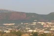 dasos-panepistimio-ioannina
