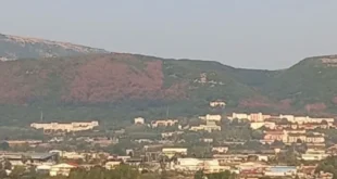 dasos-panepistimio-ioannina