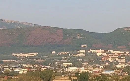 dasos-panepistimio-ioannina