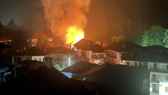 fotia_metsovo-22-9