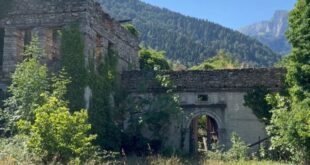 faik-oikia-konitsa