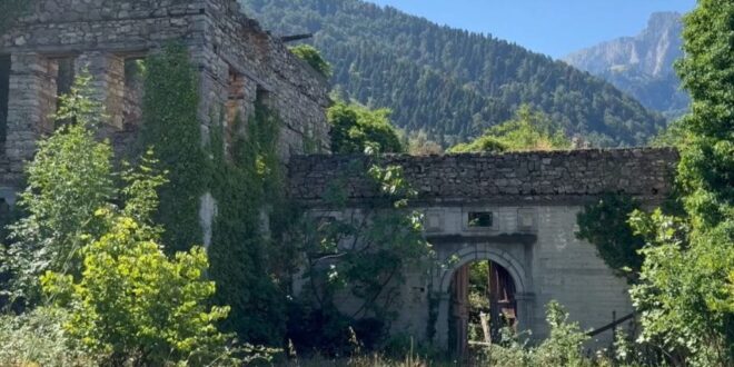 faik-oikia-konitsa